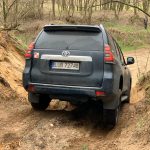 95971bc6-4d55-459a-b49b-f513ea2b4431 95971bc6-4d55-459a-b49b-f513ea2b4431