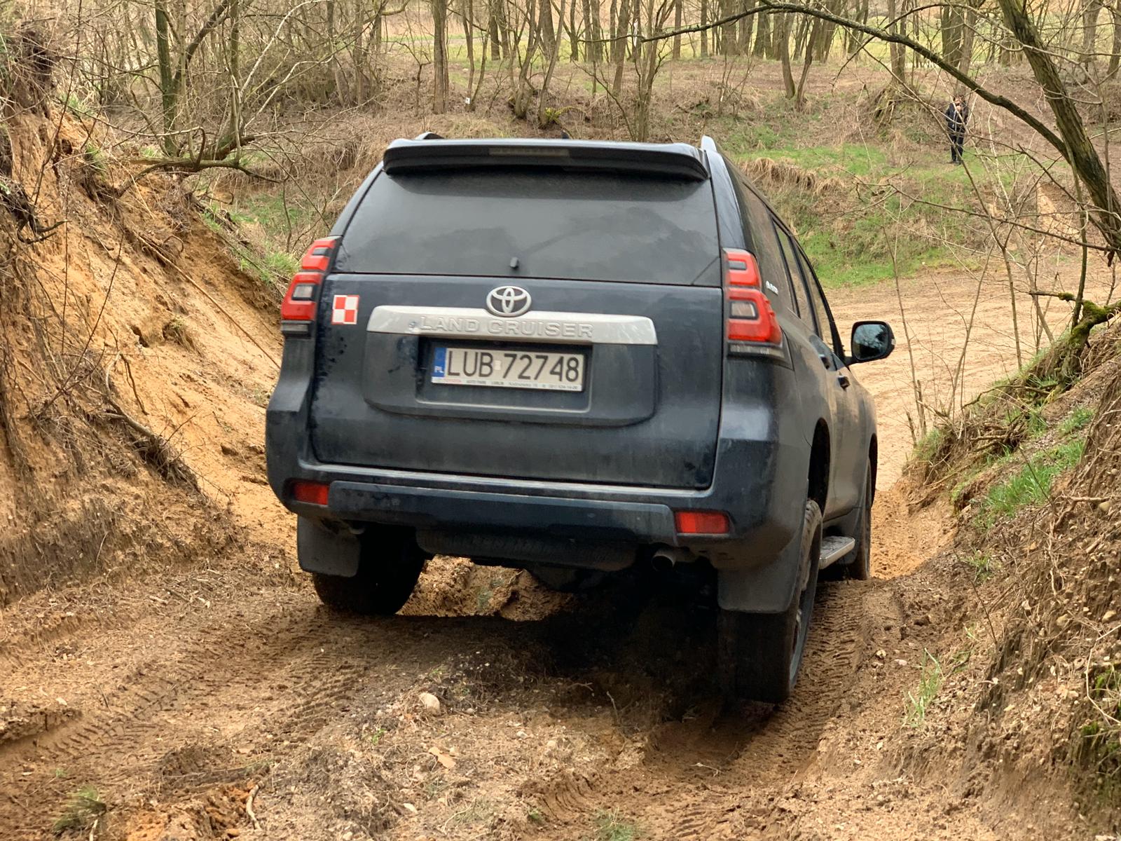 95971bc6-4d55-459a-b49b-f513ea2b4431 95971bc6-4d55-459a-b49b-f513ea2b4431