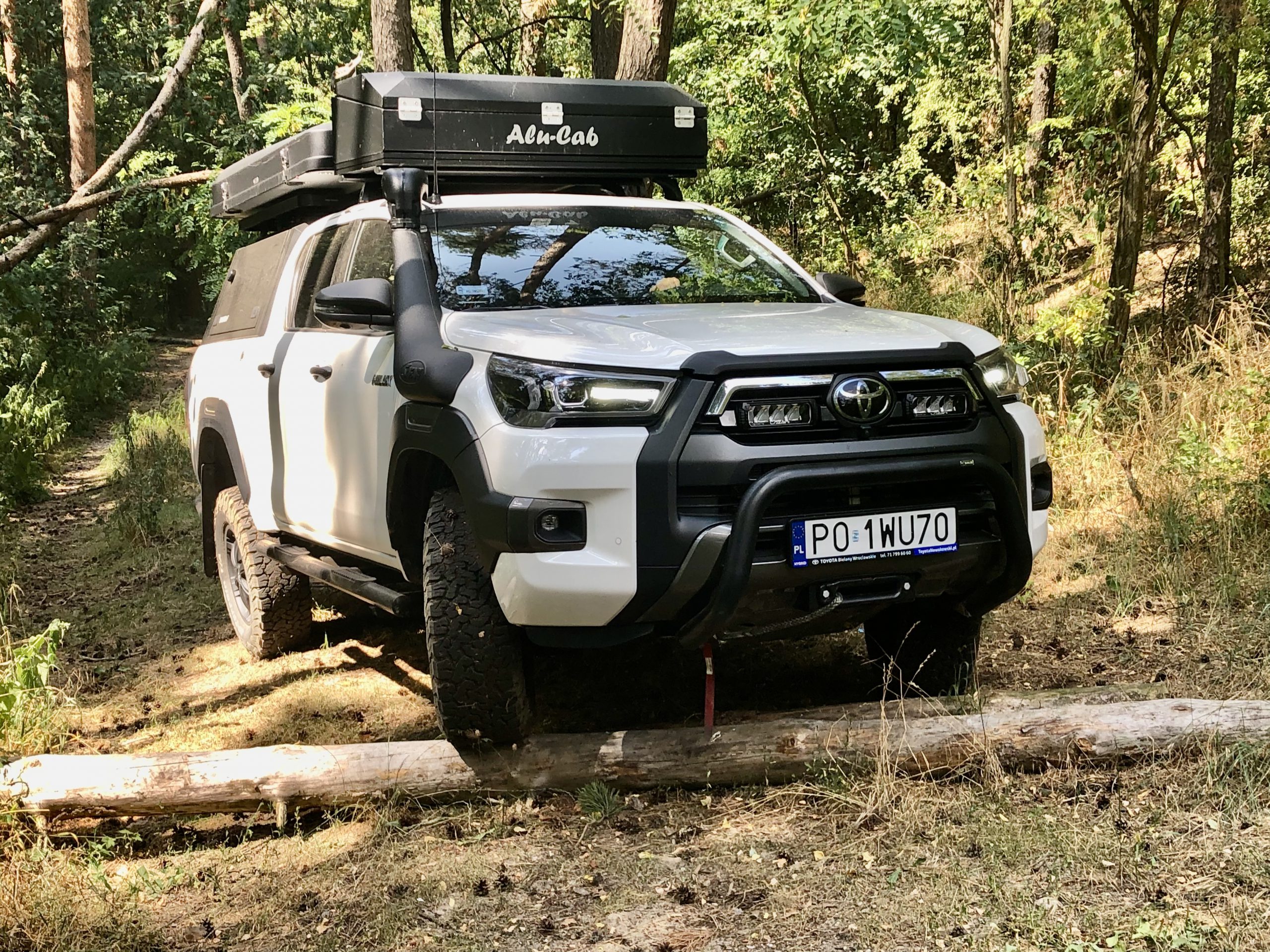 IMG_3936 2 IMG_3936 2