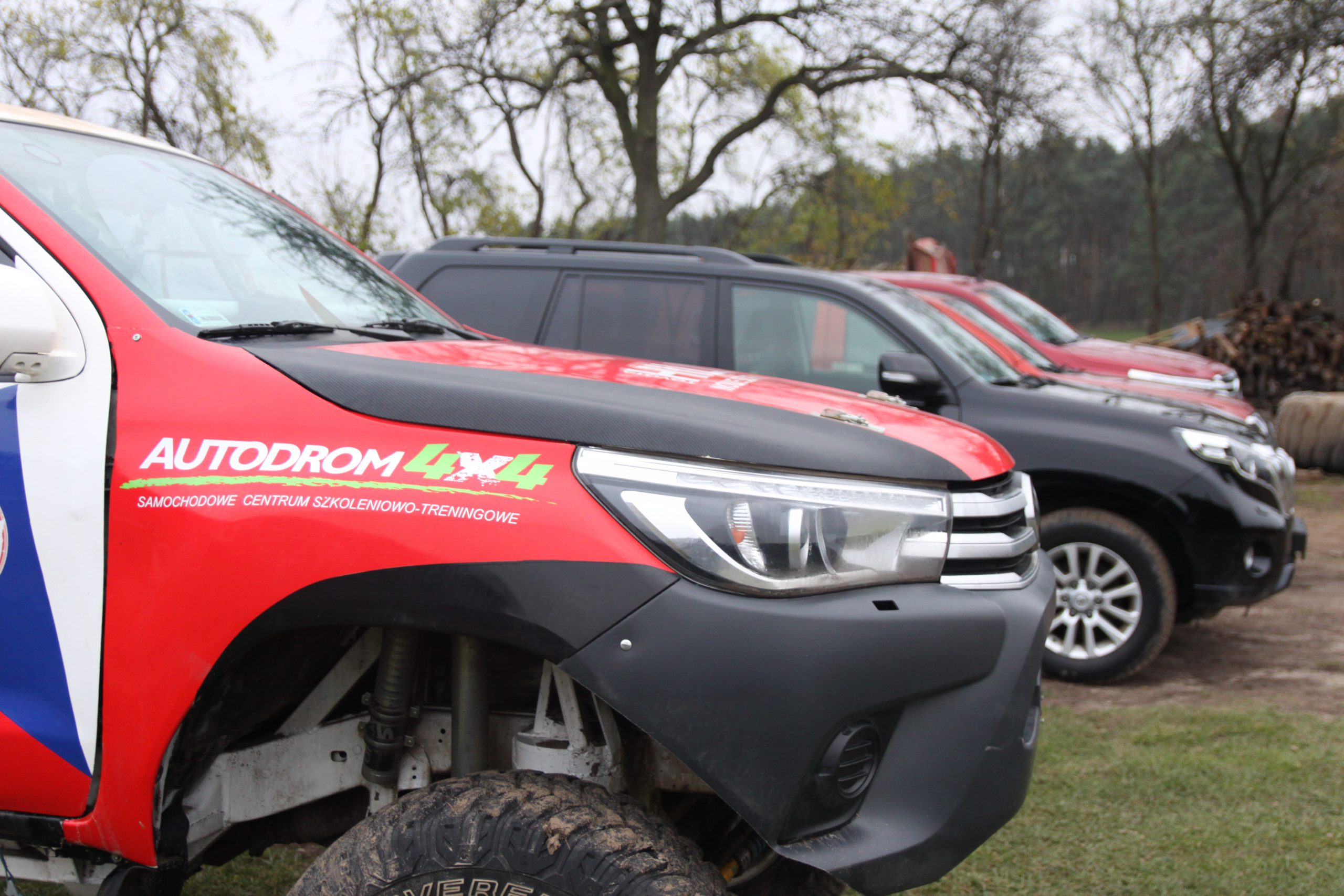 IMG_7375 (1) IMG_7375 (1)