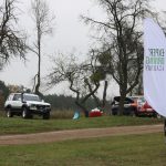 IMG_7384 (1) IMG_7384 (1)