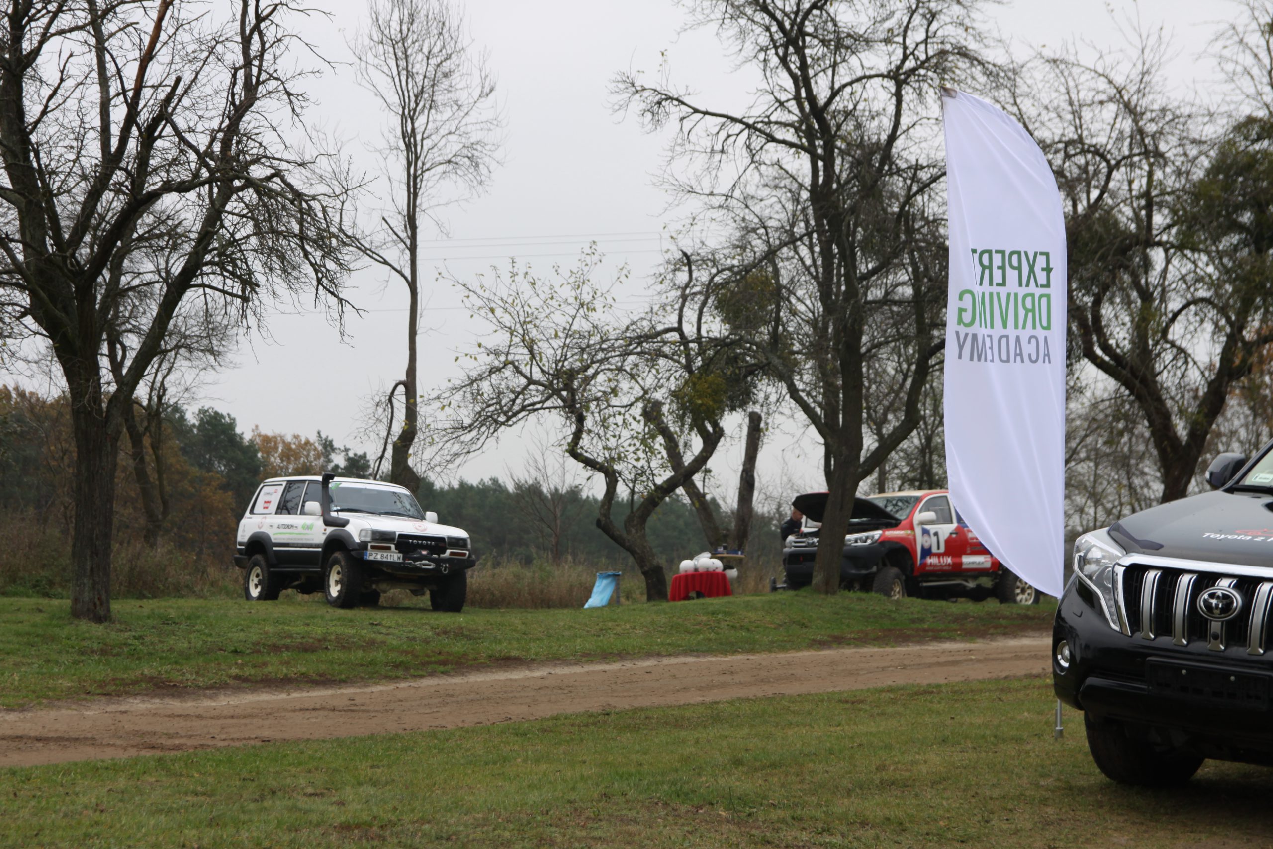 IMG_7384 (1) IMG_7384 (1)