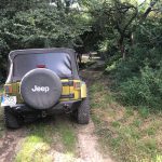 ae558732-516f-4746-a2be-ec4b07b162c2-1 ae558732-516f-4746-a2be-ec4b07b162c2-1