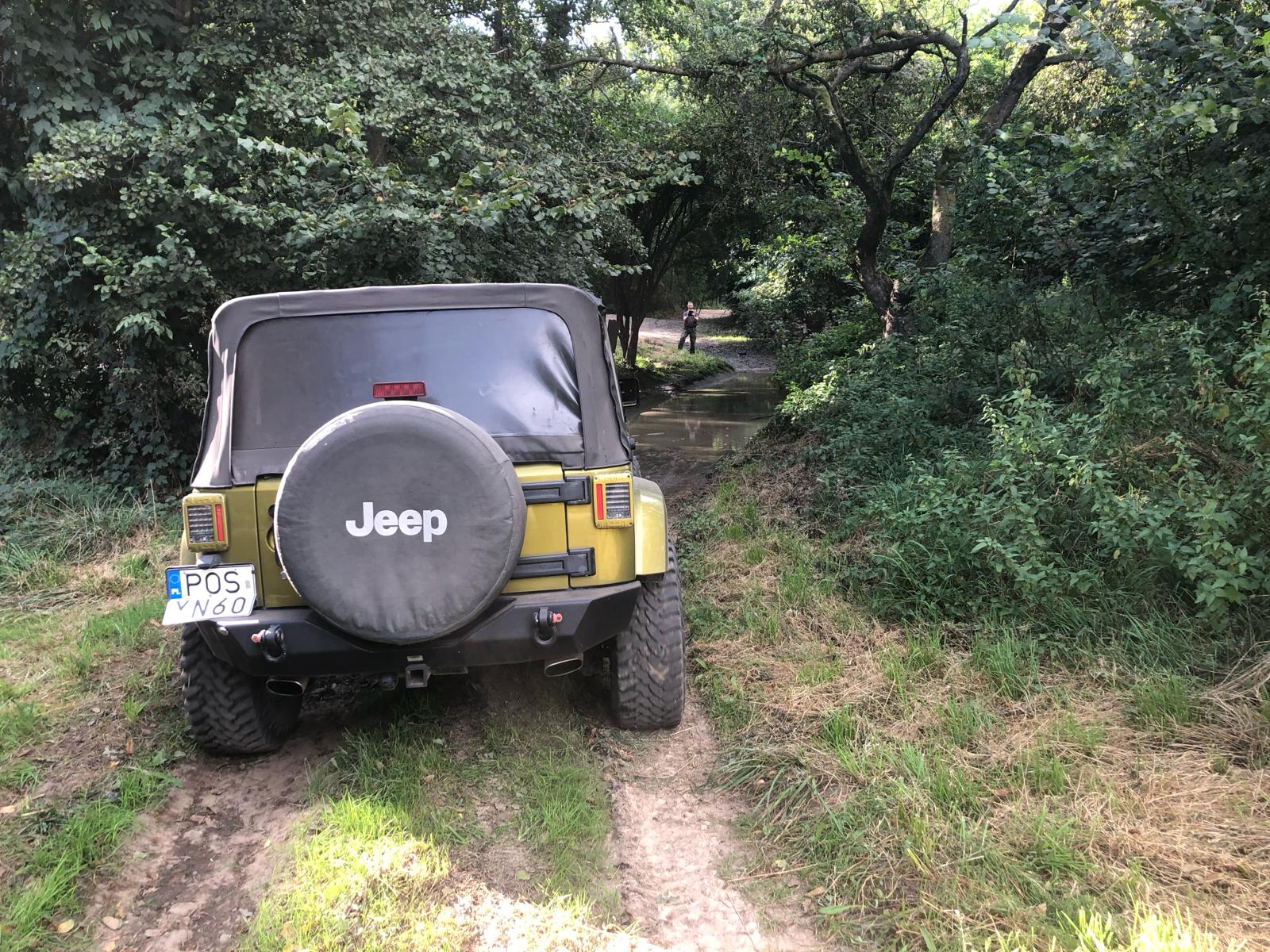 ae558732-516f-4746-a2be-ec4b07b162c2-1 ae558732-516f-4746-a2be-ec4b07b162c2-1