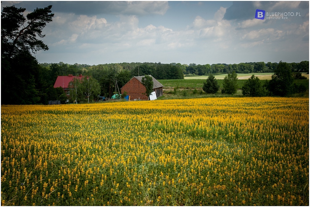 tor offroad camping tor offroad camping